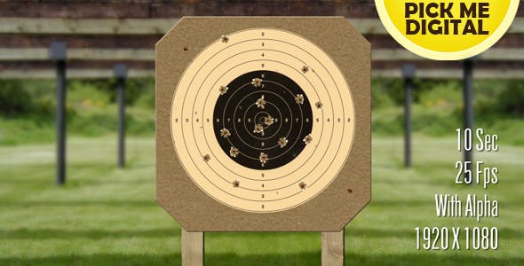Target Shooting - Download 16072854 Videohive