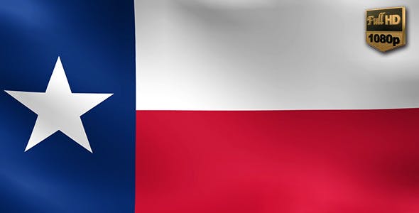 Texas Flag - Videohive 10227903 Download