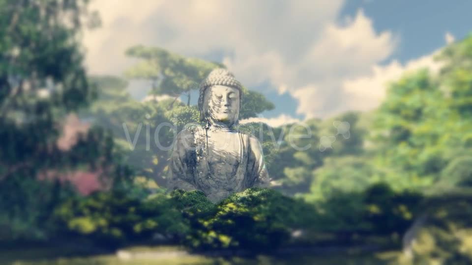 The Buddha Garden Videohive 17068033 Motion Graphics Image 10