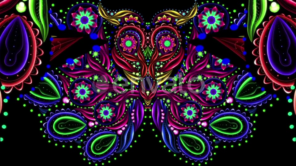 The Butterfly Videohive 23264227 Motion Graphics Image 4