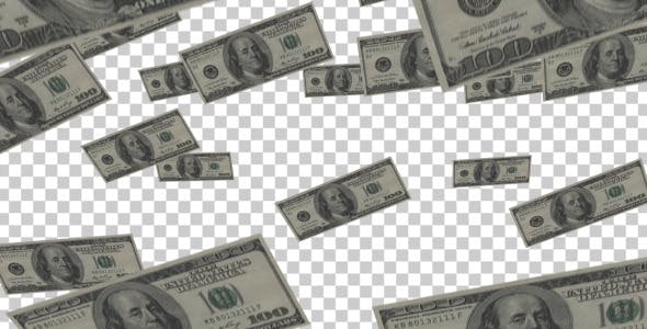 The Dollar Falls - Download 6018644 Videohive
