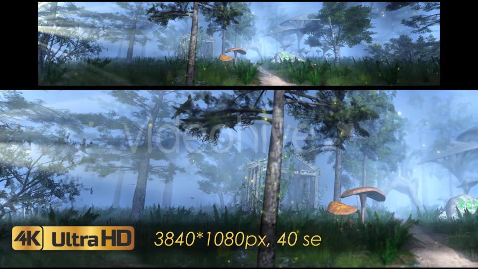 The Enchanted Forest Panorama Videohive 20817233 Motion Graphics Image 2