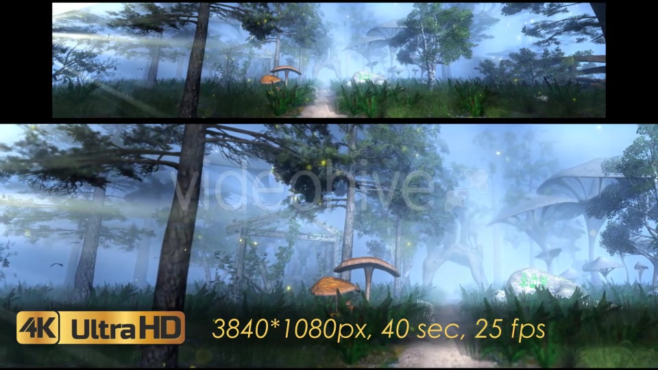 The Enchanted Forest Panorama Videohive 20817233 Motion Graphics Image 3