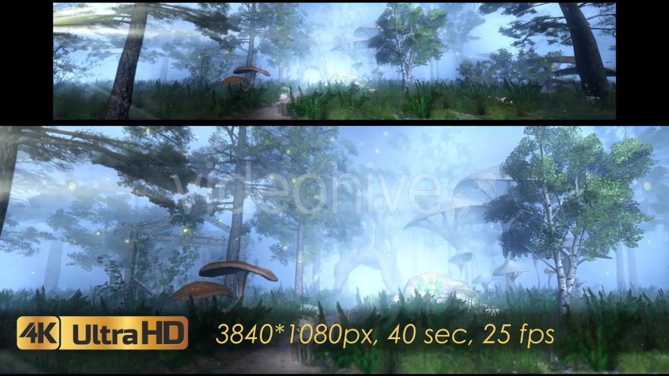 The Enchanted Forest Panorama Videohive 20817233 Motion Graphics Image 4