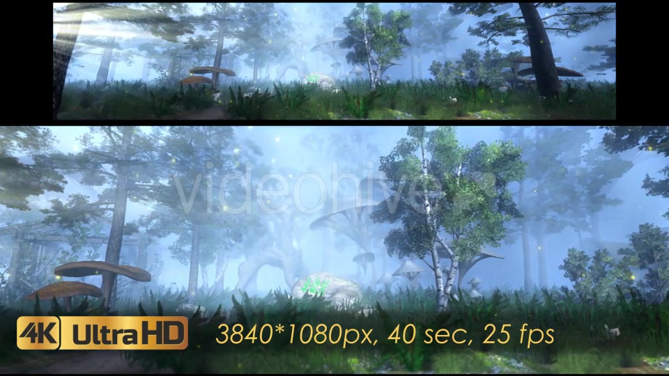 The Enchanted Forest Panorama Videohive 20817233 Motion Graphics Image 5