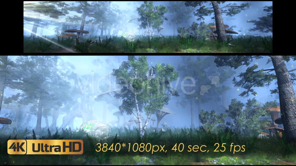 The Enchanted Forest Panorama Videohive 20817233 Motion Graphics Image 6
