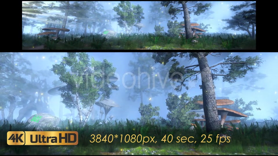 The Enchanted Forest Panorama Videohive 20817233 Motion Graphics Image 7