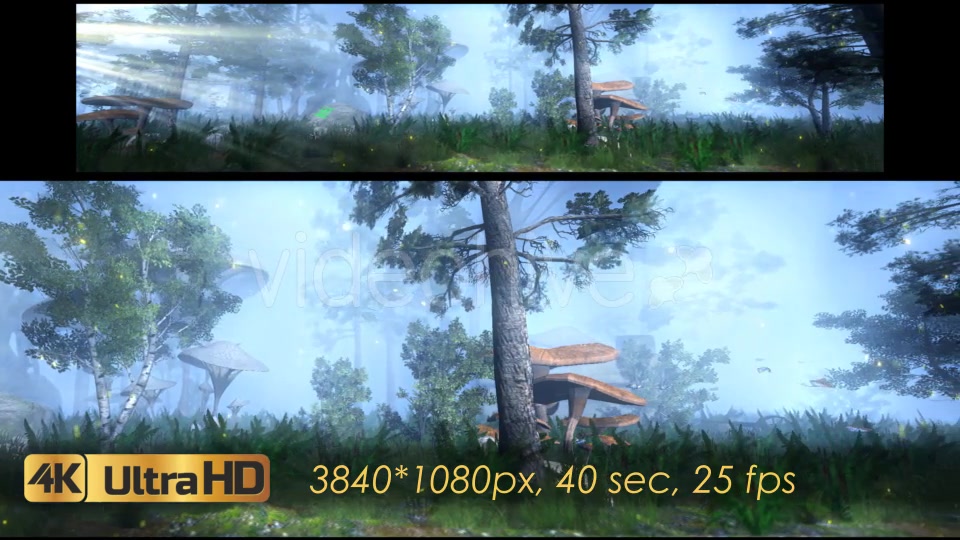 The Enchanted Forest Panorama Videohive 20817233 Motion Graphics Image 8