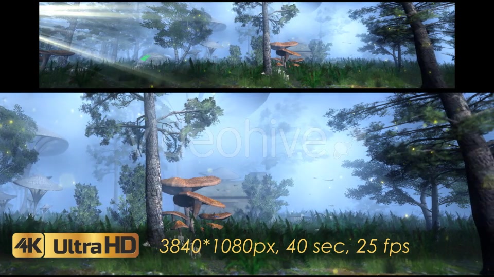 The Enchanted Forest Panorama Videohive 20817233 Motion Graphics Image 9