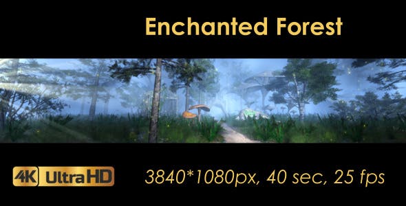 The Enchanted Forest Panorama - Download 20817233 Videohive