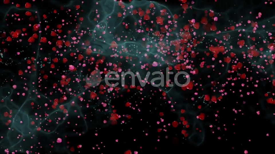 The flight of Red Petals Widescreen Videohive 22519474 Motion Graphics Image 10