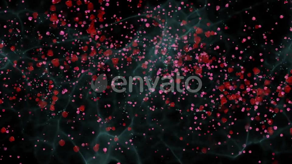 The flight of Red Petals Widescreen Videohive 22519474 Motion Graphics Image 11