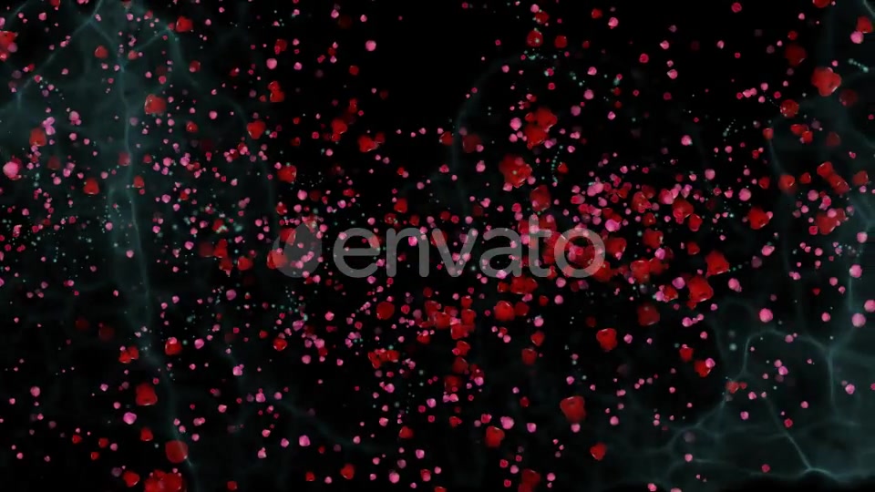 The flight of Red Petals Widescreen Videohive 22519474 Motion Graphics Image 12
