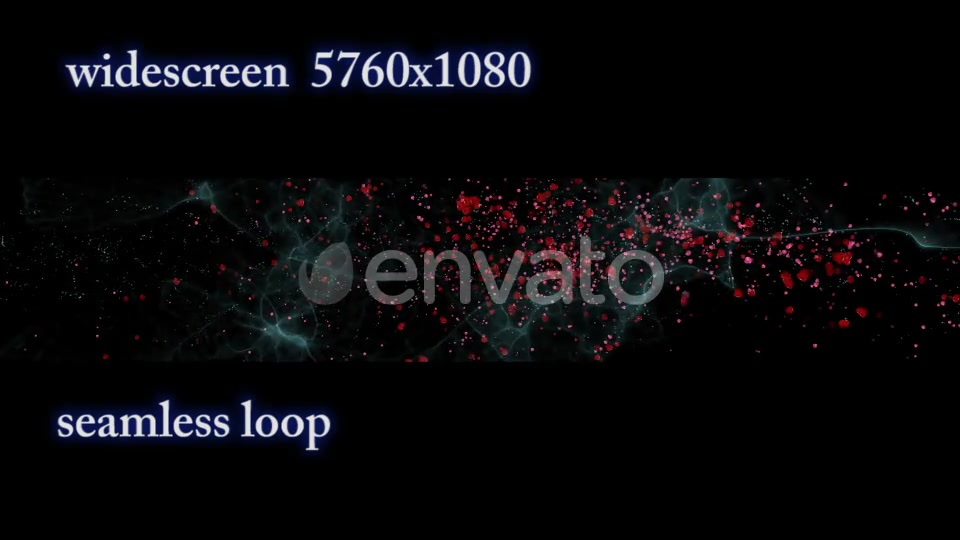 The flight of Red Petals Widescreen Videohive 22519474 Motion Graphics Image 3