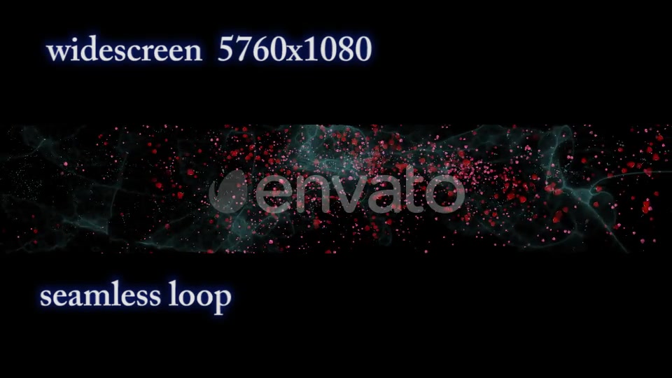 The flight of Red Petals Widescreen Videohive 22519474 Motion Graphics Image 4
