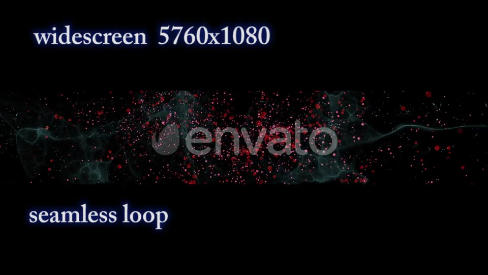 The flight of Red Petals Widescreen Videohive 22519474 Motion Graphics Image 6