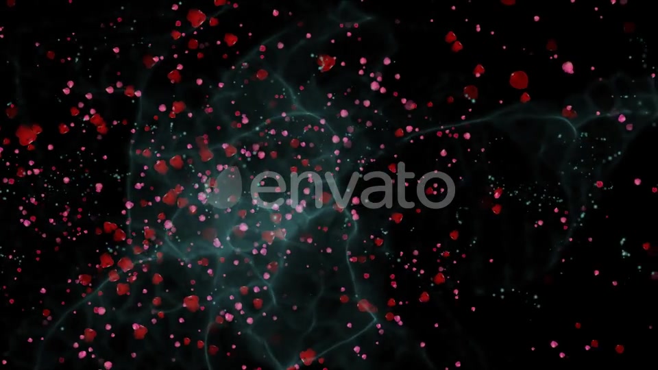 The flight of Red Petals Widescreen Videohive 22519474 Motion Graphics Image 7