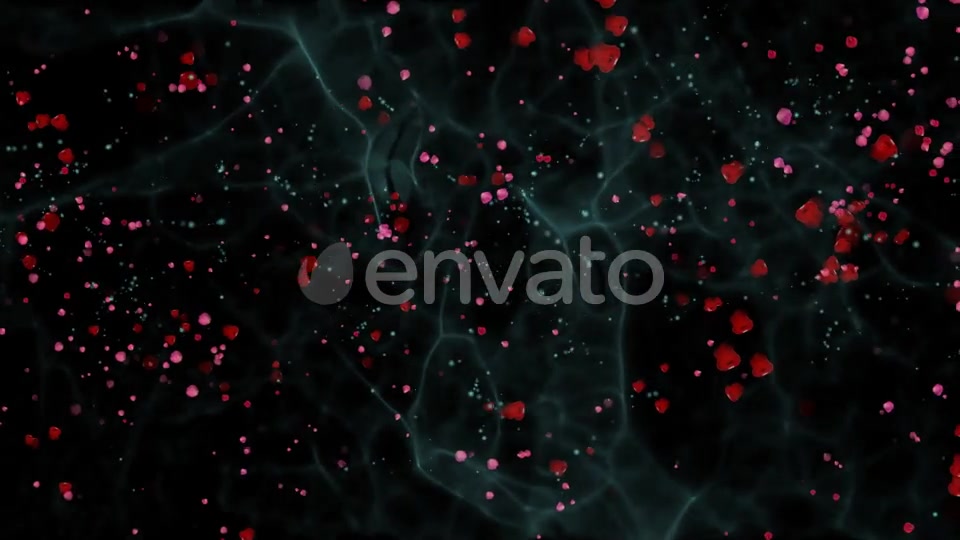The flight of Red Petals Widescreen Videohive 22519474 Motion Graphics Image 8