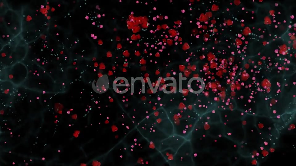 The flight of Red Petals Widescreen Videohive 22519474 Motion Graphics Image 9