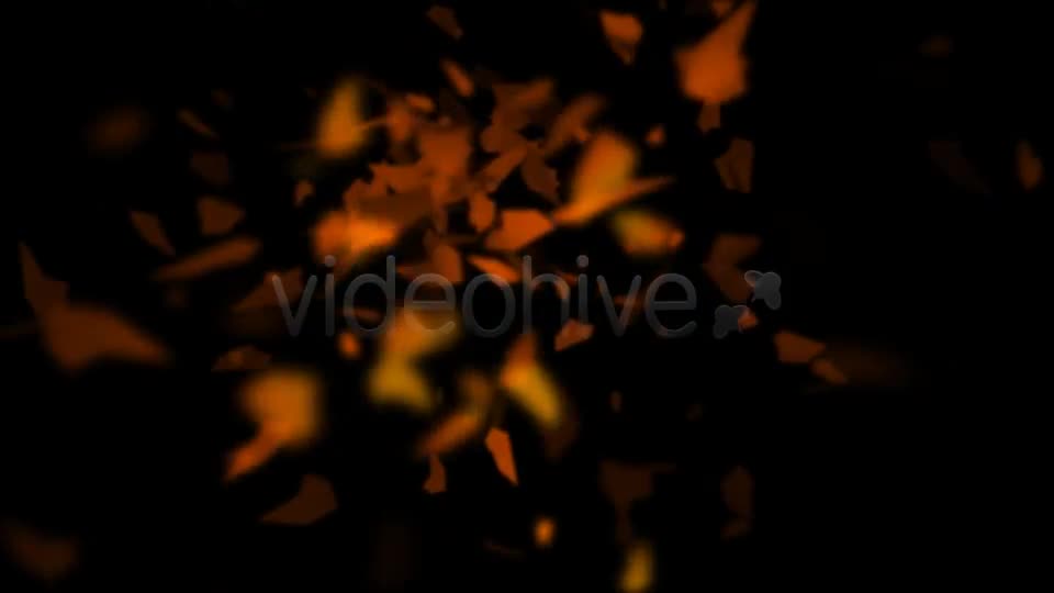 The Fly leaves Videohive 597370 Motion Graphics Image 1