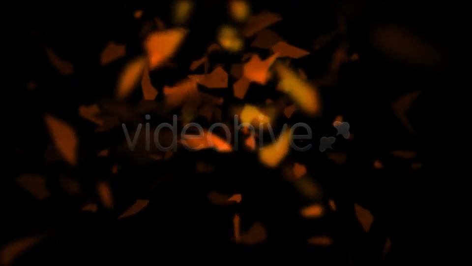 The Fly leaves Videohive 597370 Motion Graphics Image 6