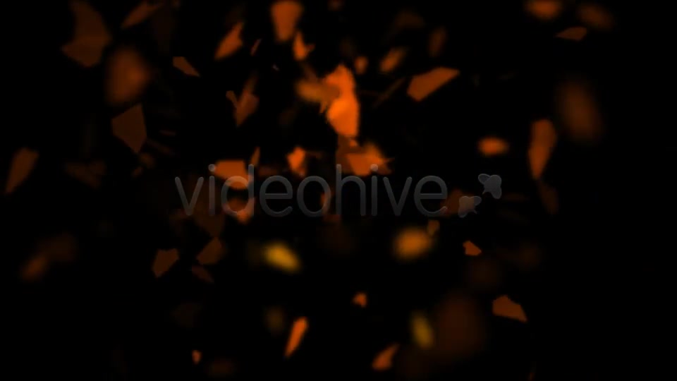 The Fly leaves Videohive 597370 Motion Graphics Image 7