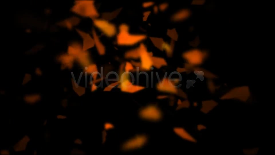 The Fly leaves Videohive 597370 Motion Graphics Image 8