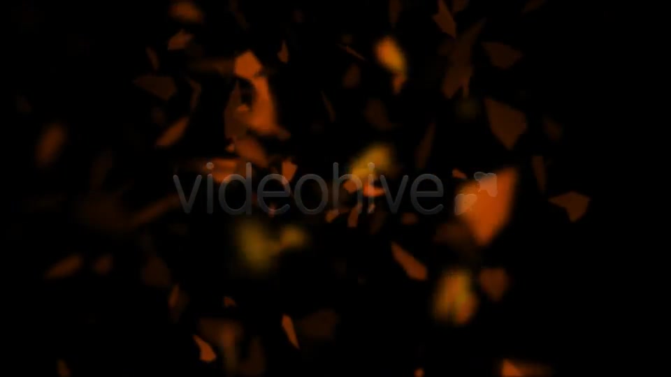 The Fly leaves Videohive 597370 Motion Graphics Image 9