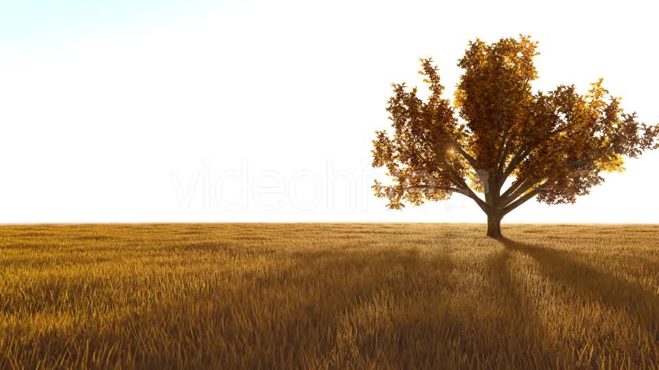 The Nature In Orange 2 Videohive 21192679 Motion Graphics Image 1