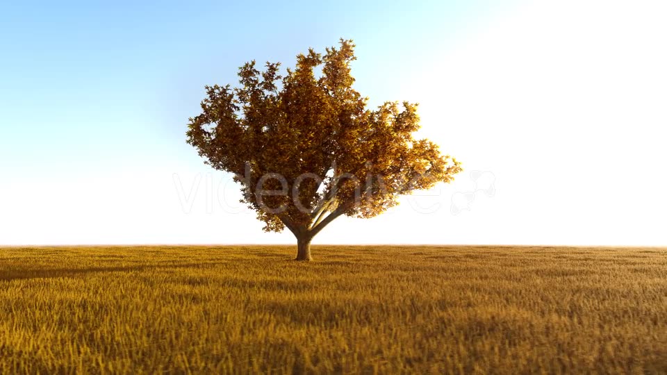 The Nature In Orange 2 Videohive 21192679 Motion Graphics Image 10