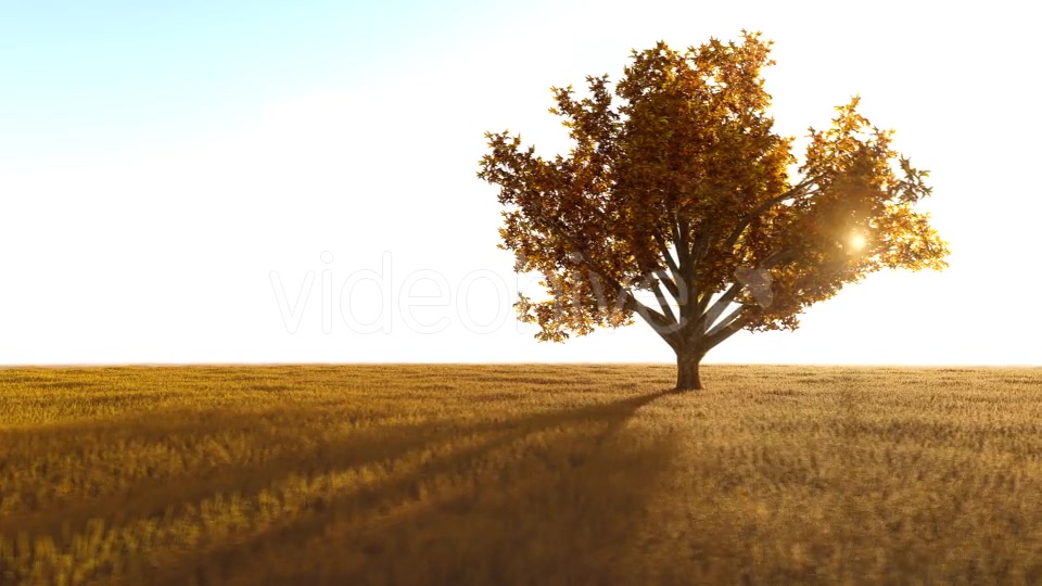 The Nature In Orange 2 Videohive 21192679 Motion Graphics Image 5