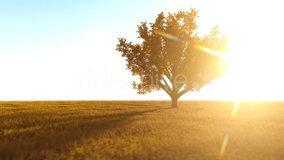 The Nature In Orange 2 Videohive 21192679 Motion Graphics Image 6