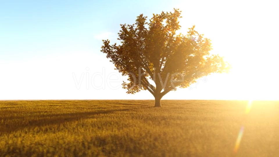 The Nature In Orange 2 Videohive 21192679 Motion Graphics Image 7