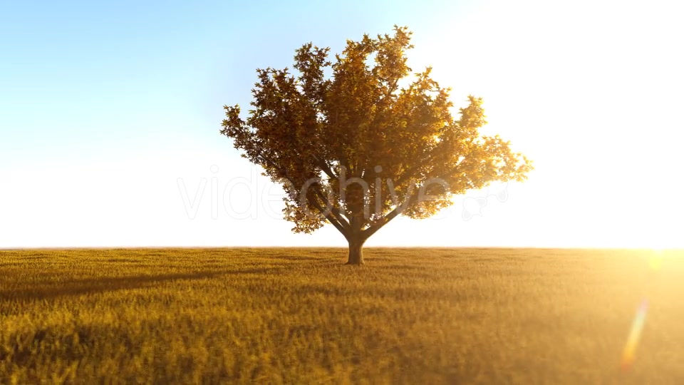 The Nature In Orange 2 Videohive 21192679 Motion Graphics Image 8