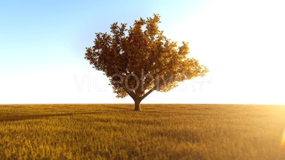 The Nature In Orange 2 Videohive 21192679 Motion Graphics Image 9