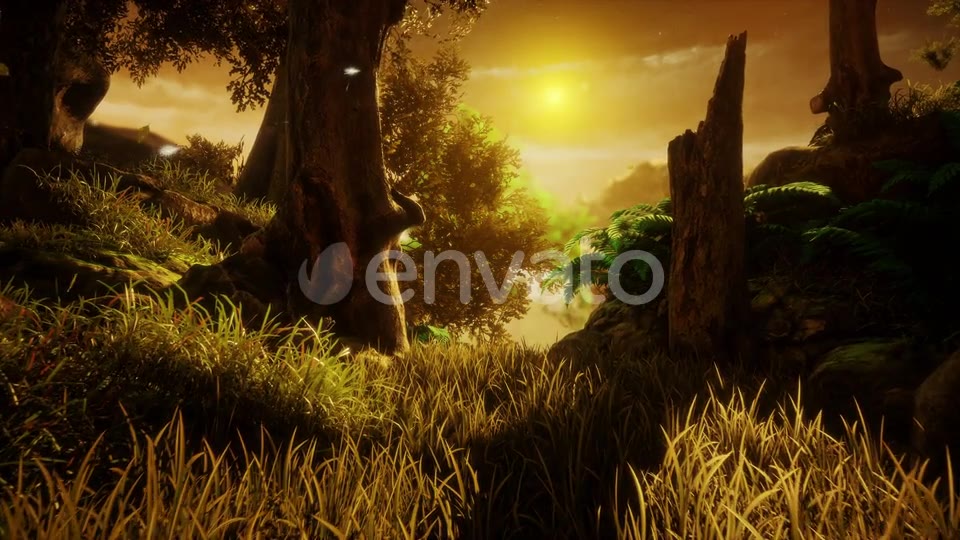 The Nature In The Sunset Videohive 23170953 Motion Graphics Image 6