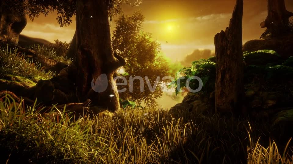 The Nature In The Sunset Videohive 23170953 Motion Graphics Image 7