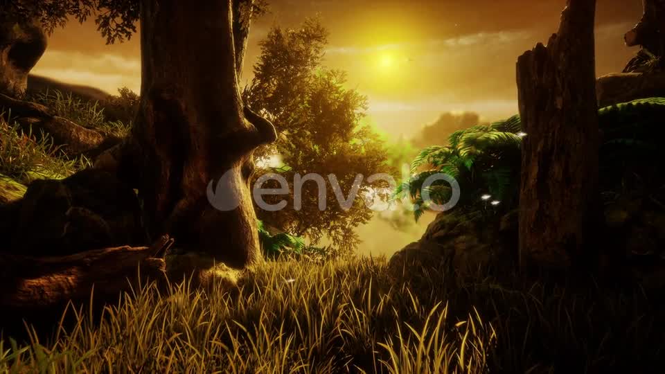 The Nature In The Sunset Videohive 23170953 Motion Graphics Image 8