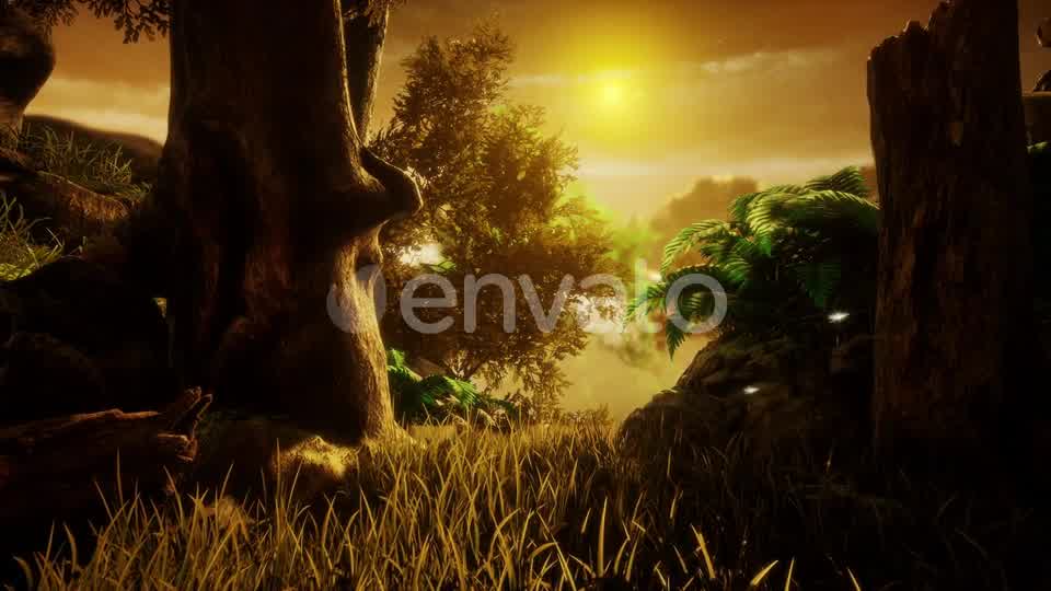 The Nature In The Sunset Videohive 23170953 Motion Graphics Image 9