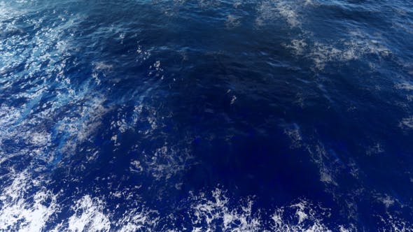 The Ocean - Download 19593384 Videohive