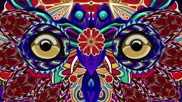 The Owl - Download Videohive 24581518