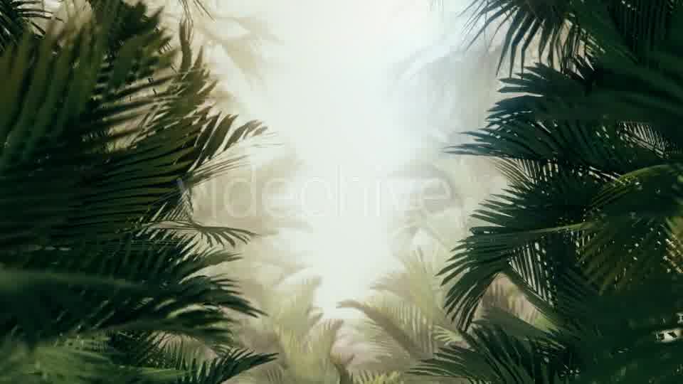 The Palms 10 Videohive 19380620 Motion Graphics Image 10