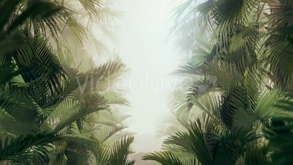 The Palms 10 Videohive 19380620 Motion Graphics Image 2