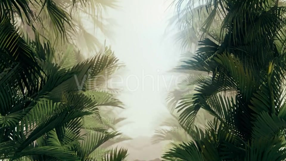 The Palms 10 Videohive 19380620 Motion Graphics Image 3
