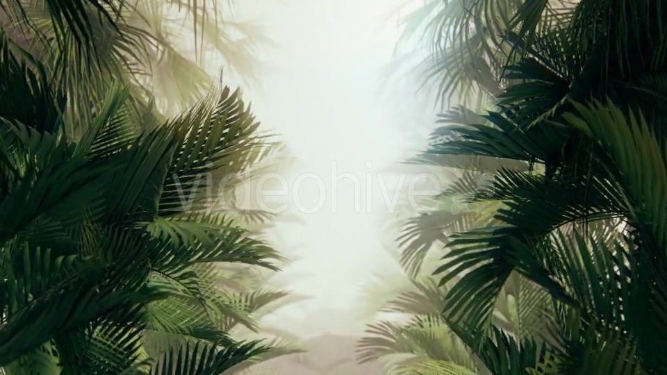 The Palms 10 Videohive 19380620 Motion Graphics Image 4