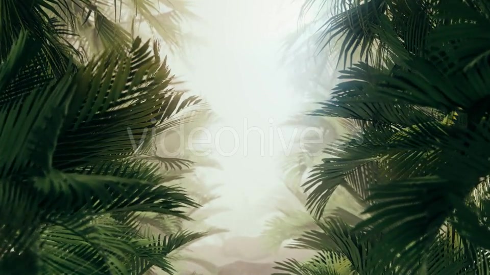 The Palms 10 Videohive 19380620 Motion Graphics Image 5