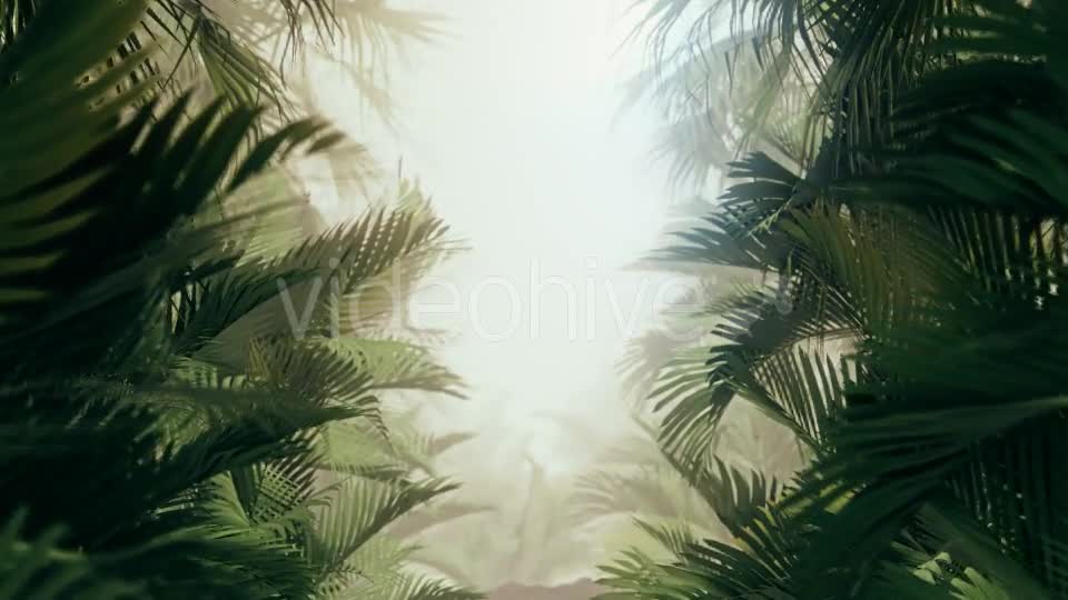 The Palms 10 Videohive 19380620 Motion Graphics Image 7