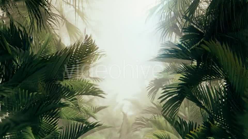 The Palms 10 Videohive 19380620 Motion Graphics Image 8