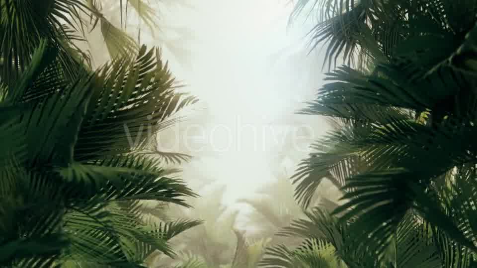 The Palms 10 Videohive 19380620 Motion Graphics Image 9