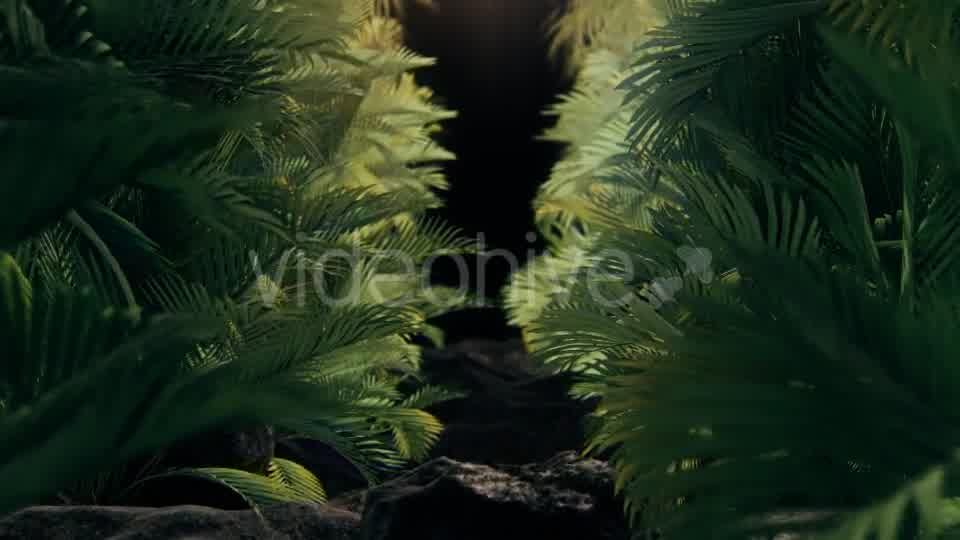 The Palms 2 Videohive 19272395 Motion Graphics Image 10